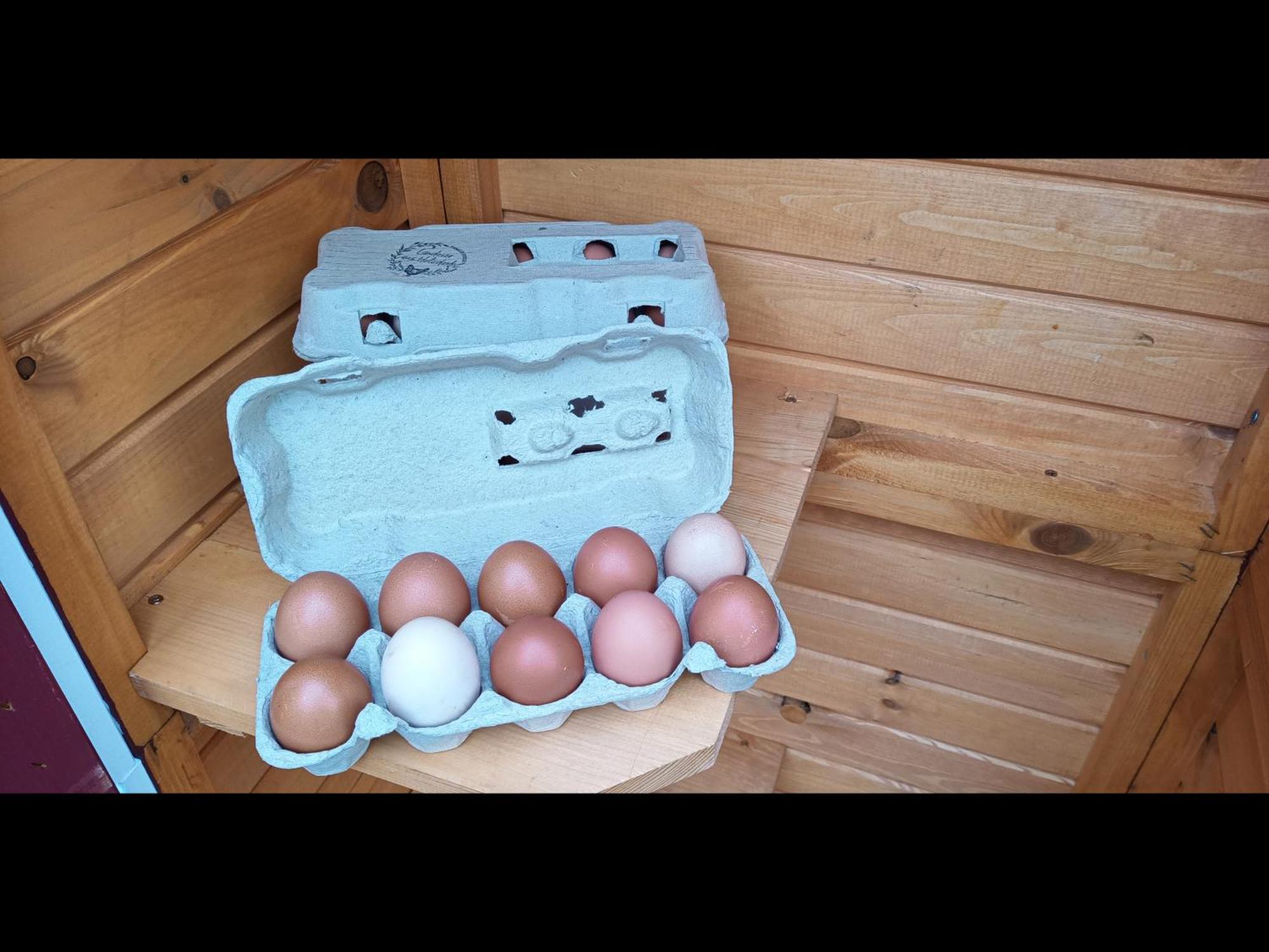 Neu! Landhaus Ostfriesenruhe Berumbur Extérieur photo